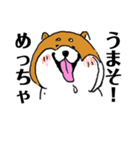関西弁柴犬（個別スタンプ：2）