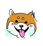 関西弁柴犬（個別スタンプ：3）