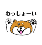 関西弁柴犬（個別スタンプ：4）