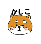 関西弁柴犬（個別スタンプ：5）