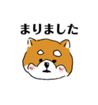 関西弁柴犬（個別スタンプ：6）