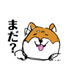 関西弁柴犬（個別スタンプ：9）