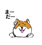 関西弁柴犬（個別スタンプ：10）