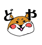 関西弁柴犬（個別スタンプ：11）