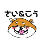 関西弁柴犬（個別スタンプ：12）