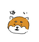 関西弁柴犬（個別スタンプ：14）
