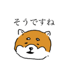 関西弁柴犬（個別スタンプ：16）