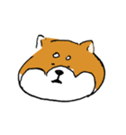 関西弁柴犬（個別スタンプ：19）