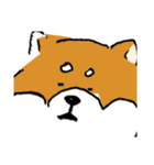 関西弁柴犬（個別スタンプ：20）