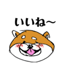 関西弁柴犬（個別スタンプ：21）
