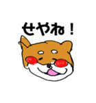 関西弁柴犬（個別スタンプ：22）
