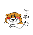 関西弁柴犬（個別スタンプ：25）