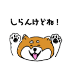関西弁柴犬（個別スタンプ：29）