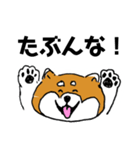 関西弁柴犬（個別スタンプ：30）