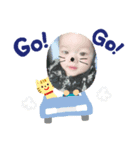 ゆきちゃんストーリー（個別スタンプ：4）