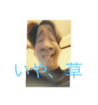 俺のスタンプ（わい）（個別スタンプ：8）
