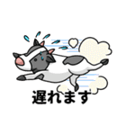 ケープ君スタンプ（個別スタンプ：17）