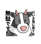 ケープ君スタンプ（個別スタンプ：30）