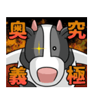 ケープ君スタンプ（個別スタンプ：35）