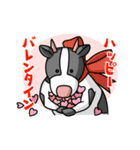ケープ君スタンプ（個別スタンプ：38）