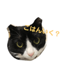 じぇりー様（個別スタンプ：1）
