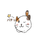 ボクの隣にいるネコ（個別スタンプ：1）