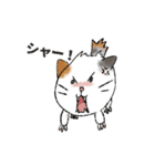 ボクの隣にいるネコ（個別スタンプ：3）