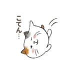 ボクの隣にいるネコ（個別スタンプ：4）