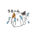 ボクの隣にいるネコ（個別スタンプ：5）