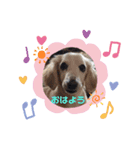 さらきちくん2（個別スタンプ：5）