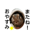 うさぎの ももじーちゃん（個別スタンプ：8）