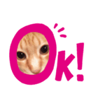 吾輩はQOOである（個別スタンプ：5）