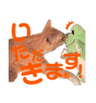 吾輩はQOOである（個別スタンプ：7）