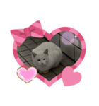 なかよし^_^（個別スタンプ：1）