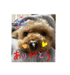 ピオン君（個別スタンプ：1）