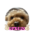 ピオン君（個別スタンプ：2）
