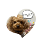 ピオン君（個別スタンプ：3）