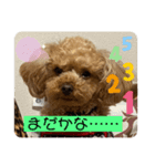 ピオン君（個別スタンプ：4）