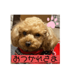 ピオン君（個別スタンプ：7）