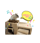 はむはむ♡こむぎ（個別スタンプ：6）