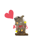 はむはむ♡こむぎ（個別スタンプ：8）