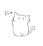 しろねこマシロさん（個別スタンプ：1）