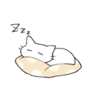 しろねこマシロさん（個別スタンプ：12）