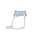 しろねこマシロさん（個別スタンプ：13）