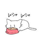 しろねこマシロさん（個別スタンプ：16）