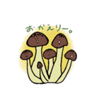 食べられるキノコ達（個別スタンプ：4）