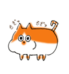 泉大津にゃんめぐりはなちゃん（個別スタンプ：14）
