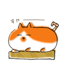 泉大津にゃんめぐりはなちゃん（個別スタンプ：29）