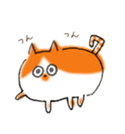 泉大津にゃんめぐりはなちゃん（個別スタンプ：34）