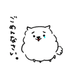 ふわまるポメラニアン（個別スタンプ：10）